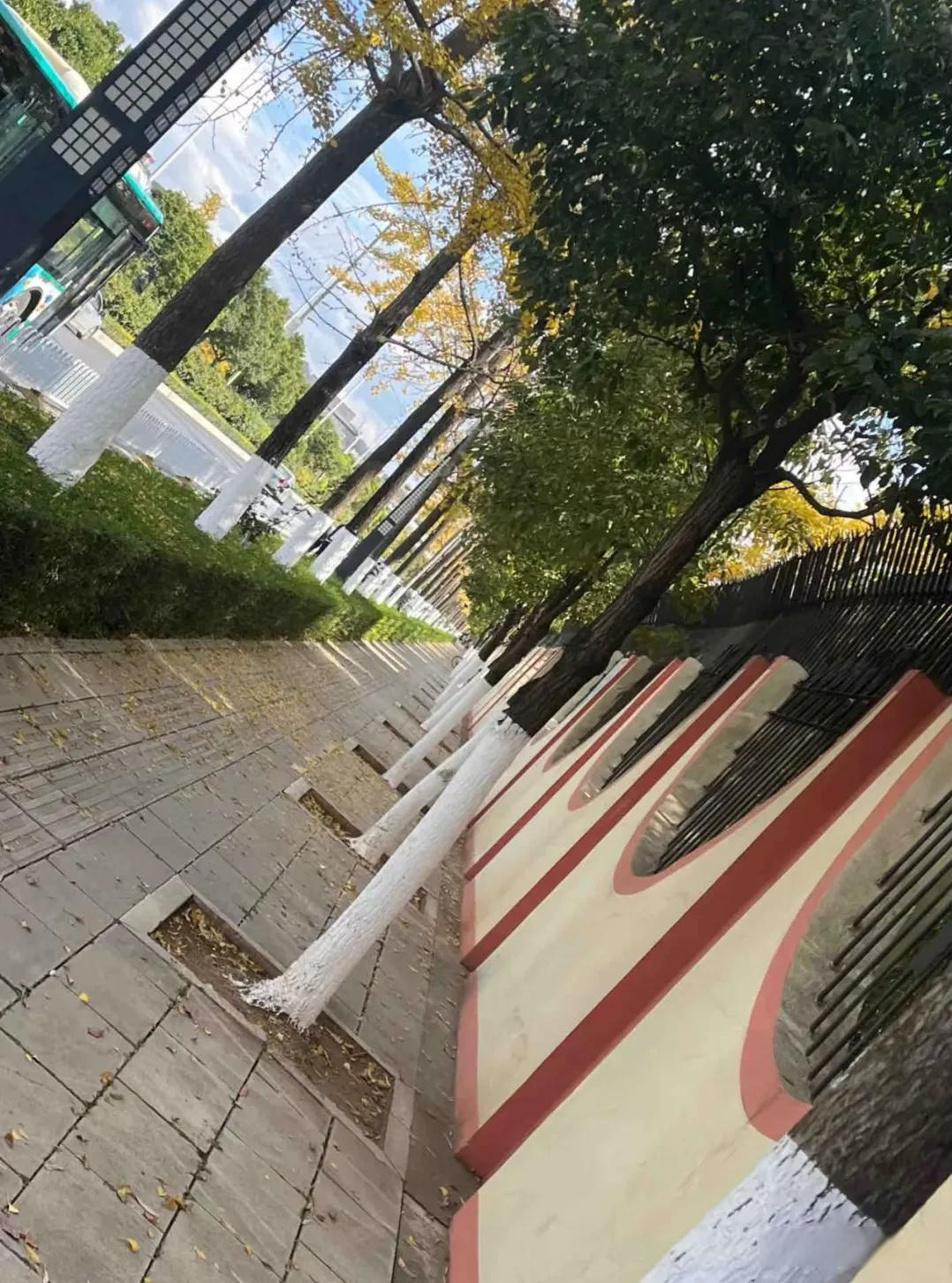 摄影一图四象限，巧妙的取景角度