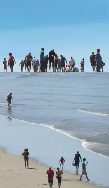 三折叠设计创意