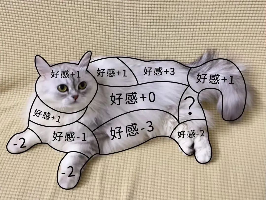撸猫示意图